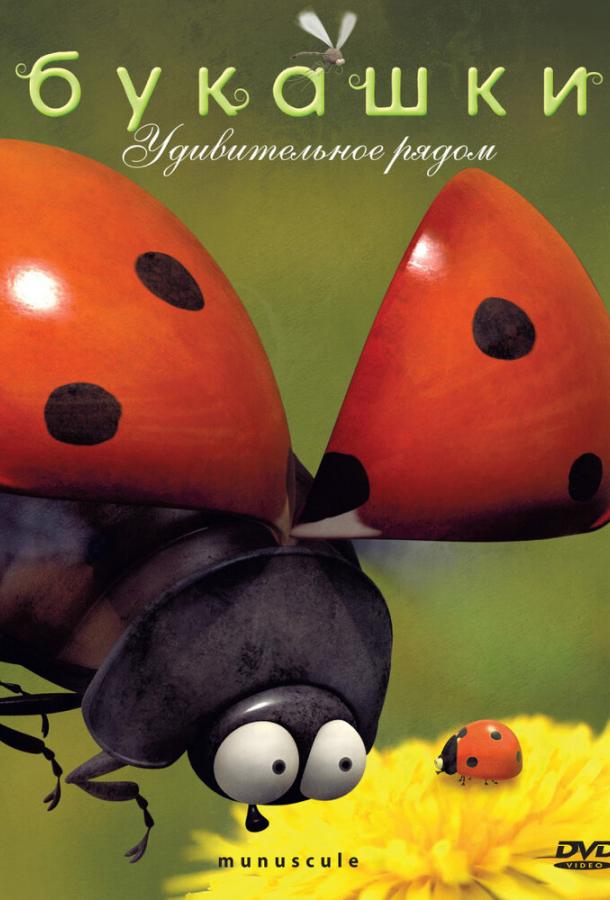 Букашки (2006) смотреть онлайн Букашки (2006) смотреть онлайн